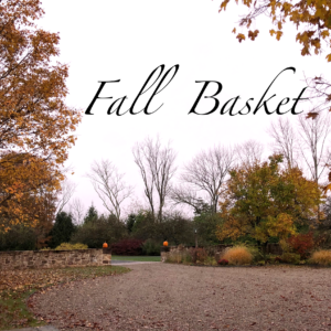 Fall Wine Basket, Free Shipping in NJ